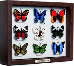Kelebek Koleksiyonu Modelleri